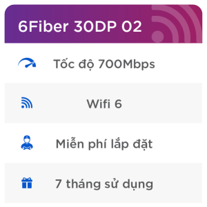Internet đa phiên 6Fiber 30DP 02